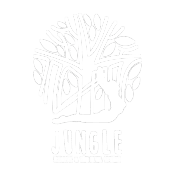Jungle Pilates & Training Studio